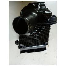Scatola porta filtro aria Renault Megane anno 2004 DCI