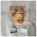 Vaschetta acqua radiatore AlfaSud 1983